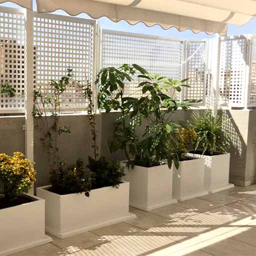 terraza carrusel13